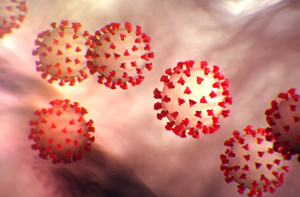 Several magnified coronavirus